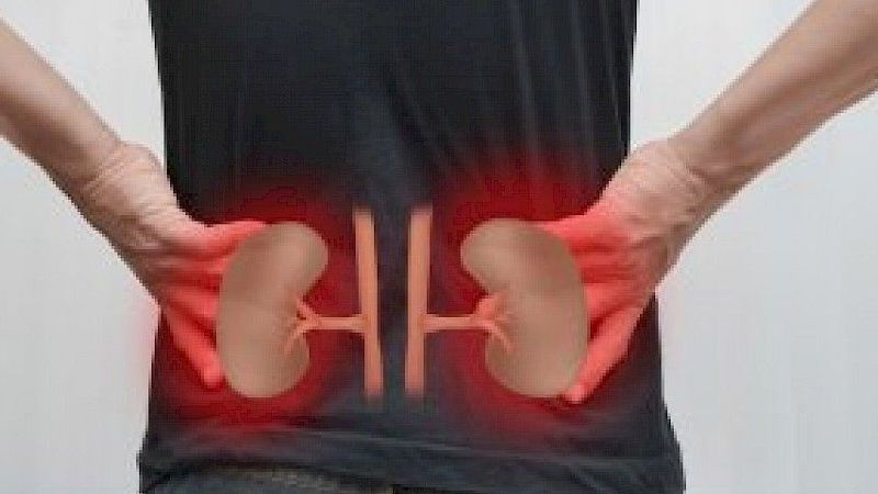 Etkileri ölümcül olabilir! Karın ve sırt ağrıları en büyük belirtisi! Böbrek ağrıları neden olur? Böbrek ağrısına ne iyi gelir? 2