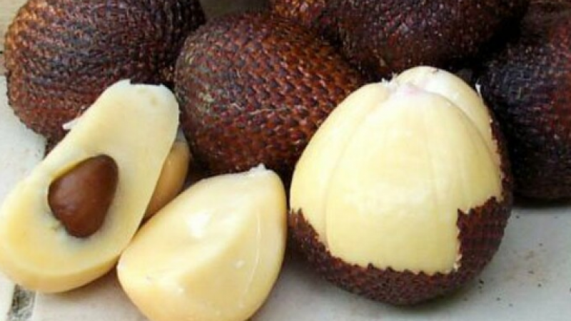 Adı ürküten bu meyve C vitamini deposu! Kalp krizi ve felç riskine birebir, gözleri cam gibi parlatıyor 1