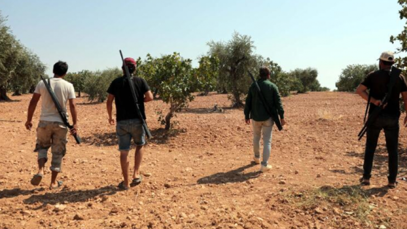 Antep fıstığının fiyatı Gaziantep’te bile 250 lirayı aşınca yeni iş sektörü ortaya çıktı: Günlüğü 1000 lira 1
