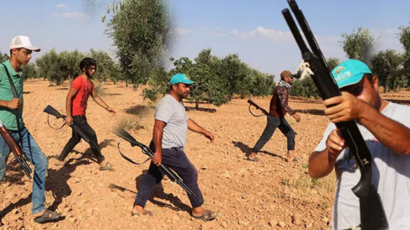 Antep fıstığının fiyatı Gaziantep’te bile 250 lirayı aşınca yeni iş sektörü ortaya çıktı: Günlüğü 1000 lira 2