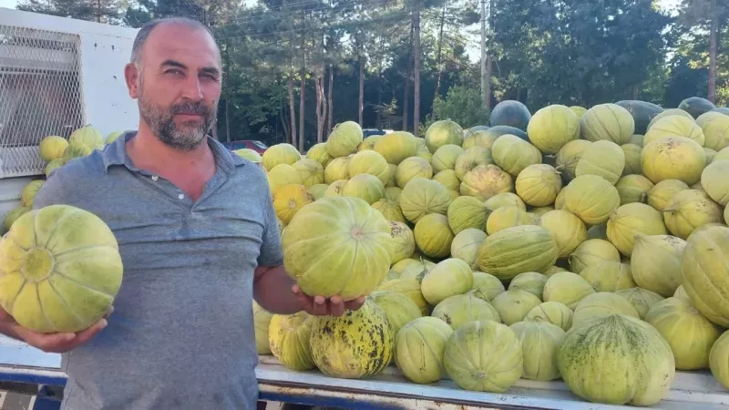 Sakın çöpe atmayın! Meyvesi kabuğundan değerli çıktı: Aşırı iştahı azaltarak kilo vermeyi sağlıyor! 1