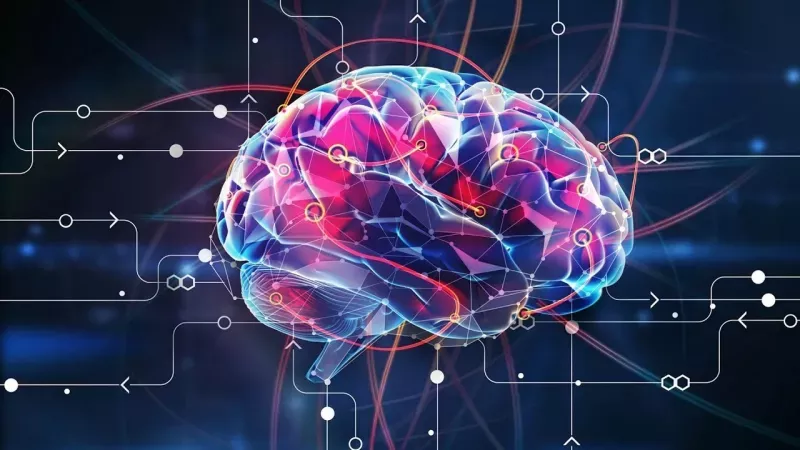 Onların kıvrak zekasıyla baş edilemiyor! Einstein kadar zeki o kişiler bu burçlardan çıkıyor 2