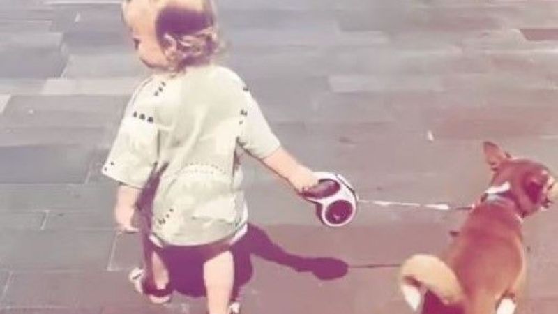 Kıvanç Tatlıtuğ'un oğlu Kurt Efe köpeğiyle yürüyüş yaptı, ilginin odağında kaldı: "Babasının aynısı!" 3