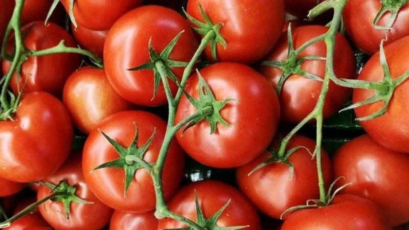 Gaziantepli ev hanımları kışlık domates kurmanın pratik yolunu buldu! Kış boyu taze kalacak, lezzetli konserve için… 1