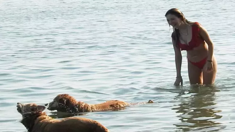 Yasmin Erbil plajda aşka geldi, sevgilisi Yiğit Poyrazı ısırdığı anlar gündeme oturdu! 2