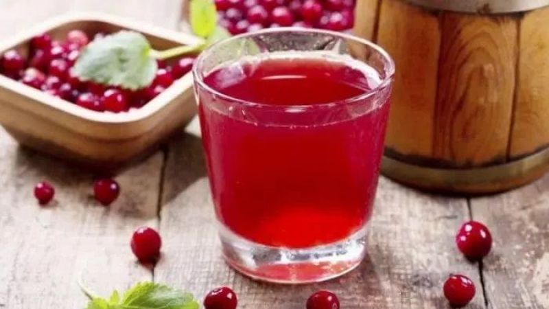 Lokman hekimin yüzyıllar öncesinden gelen “Ölümsüzlük sırrı”: Kızılcık Şerbeti nasıl yapılır, faydaları nelerdir? 2