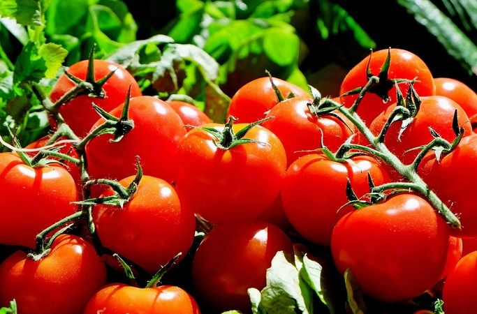 Salçadaki küf sorununu söküp atıyor! Üzerine 1 kaşık koyun yeterli oluyor 2
