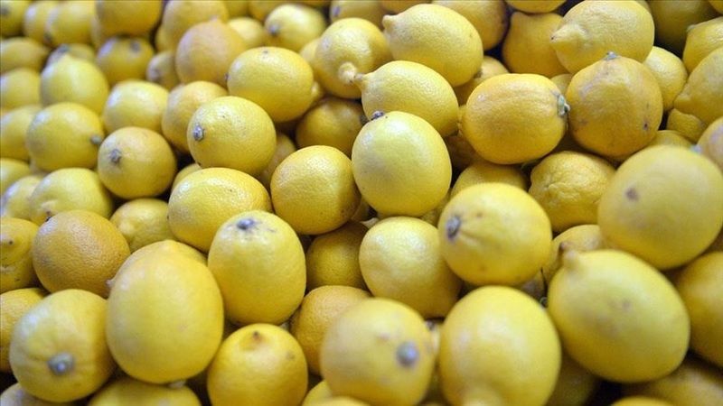 Gece yatmadan önce hurmaya limon sıkıp yerseniz bakın vücuda ne yapıyormuş... 3