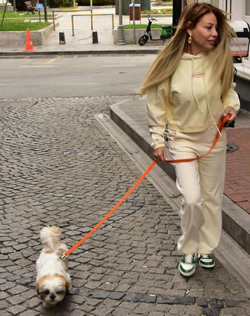 Linet ve Seyahat Ediyor! Pasaportlu Köpeği 2