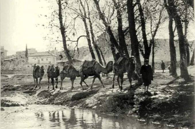 Gaziantep’in Eski Kültürleri: Alleben ve Haraf Geleneği Yeniden Gündemde 3