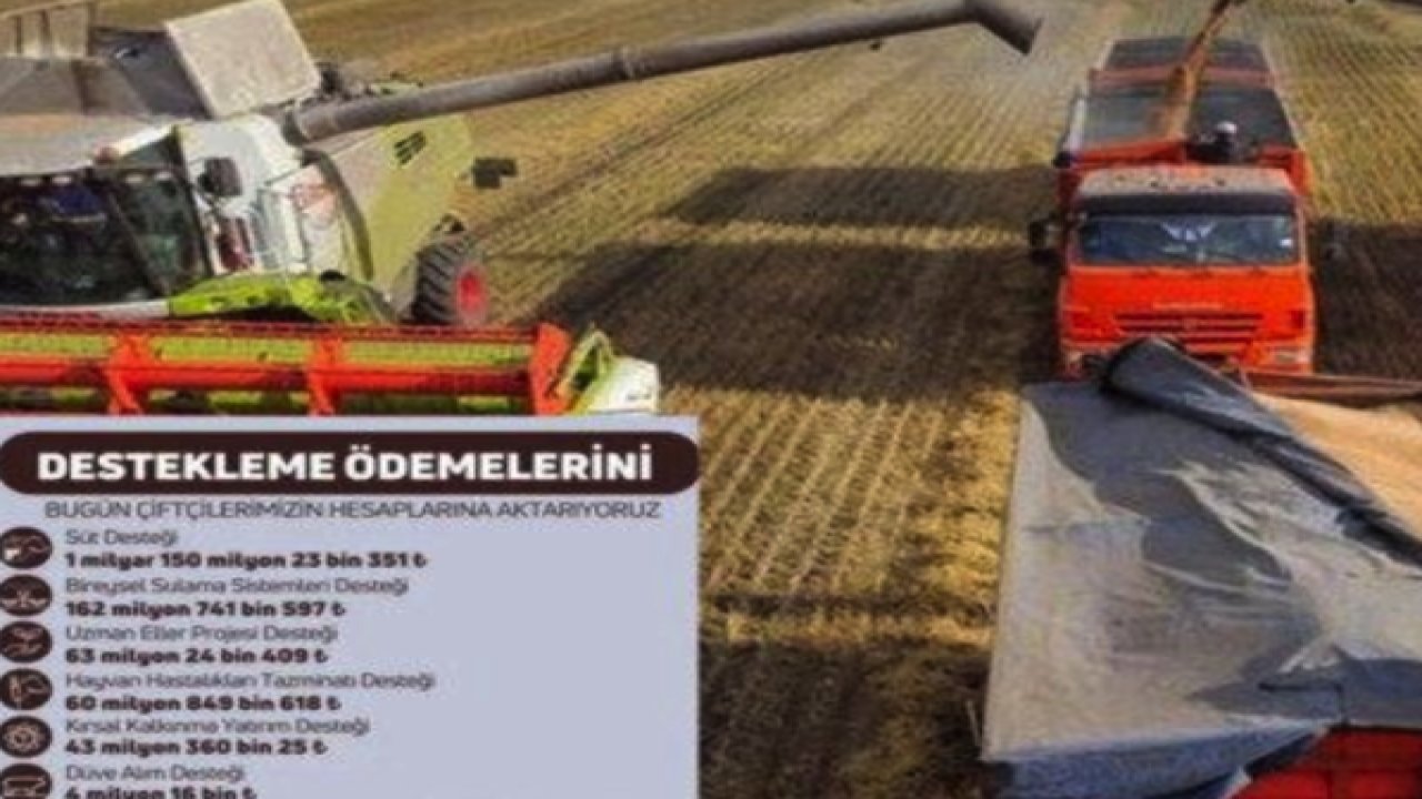 Bakan çiftçilere müjdeyi verdi! Para hesaplara yatıyor