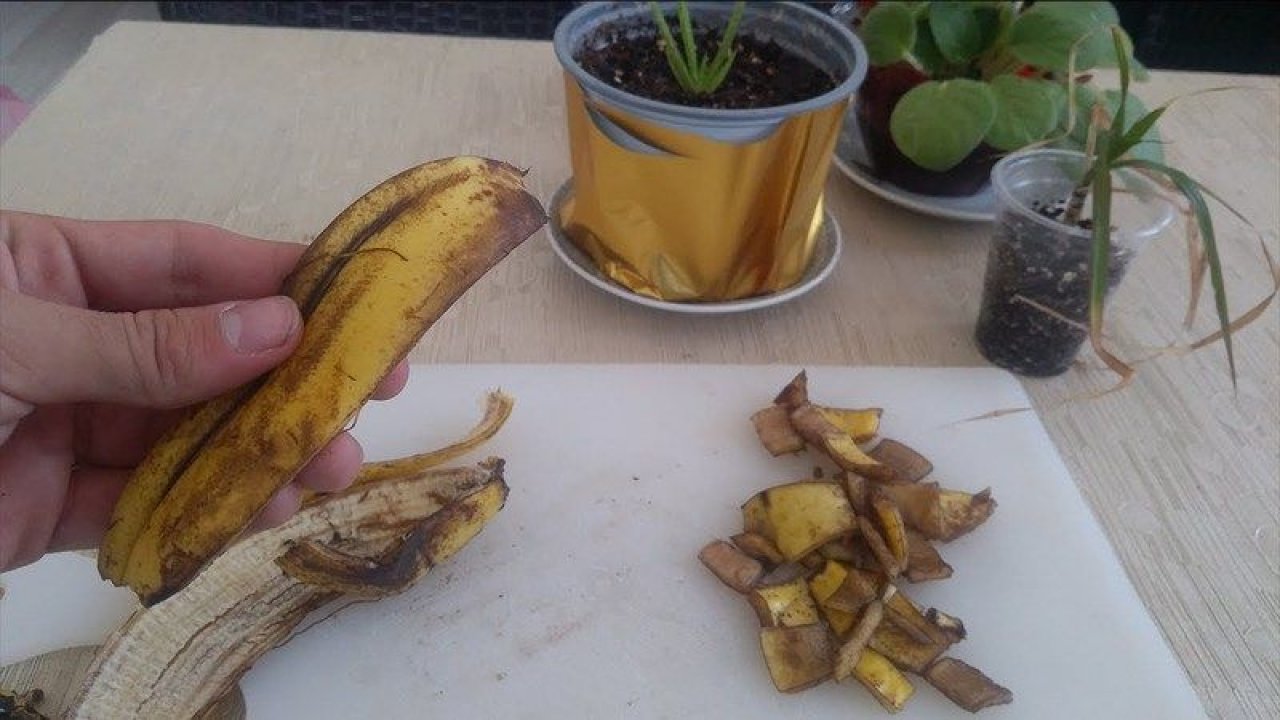 Hazineyi meğer çöpe atmışız. Asıl şifası kabuğunda çıktı! Hiç bilinmeyen kullanım alanları...