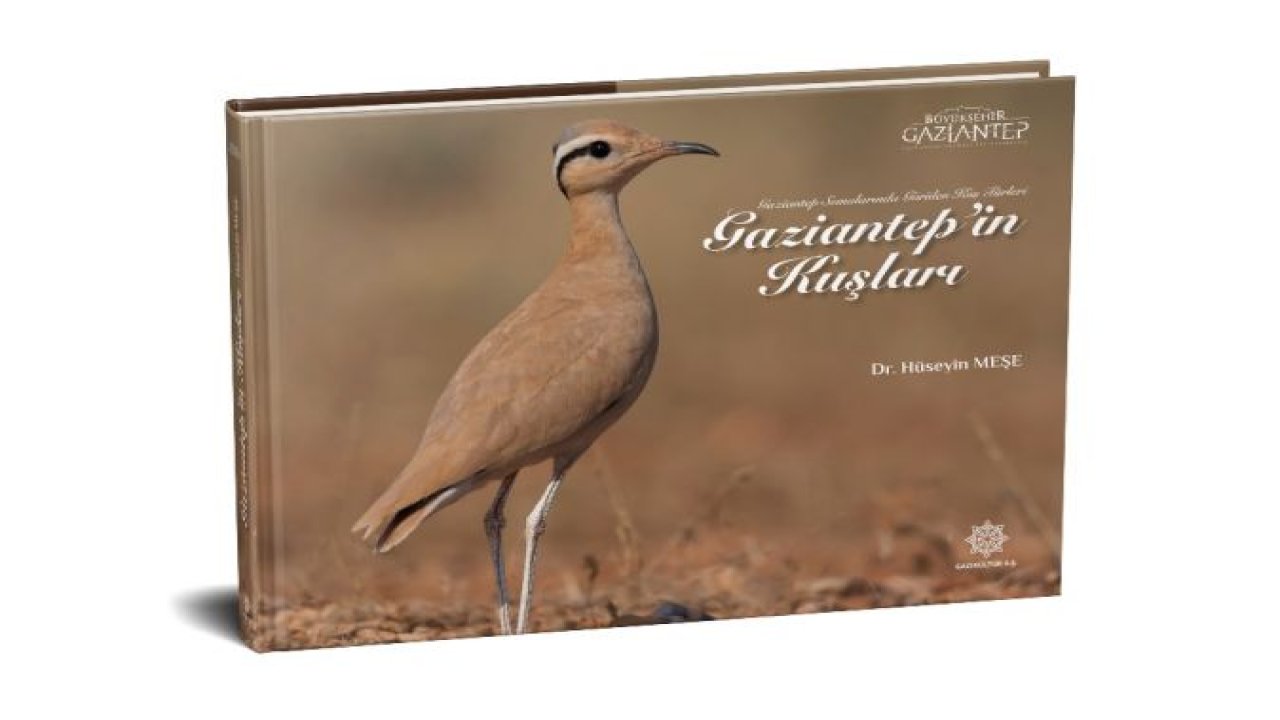 GAZİANTEP SEMALARINDA GÖRÜLEN KUŞ TÜRLERİ