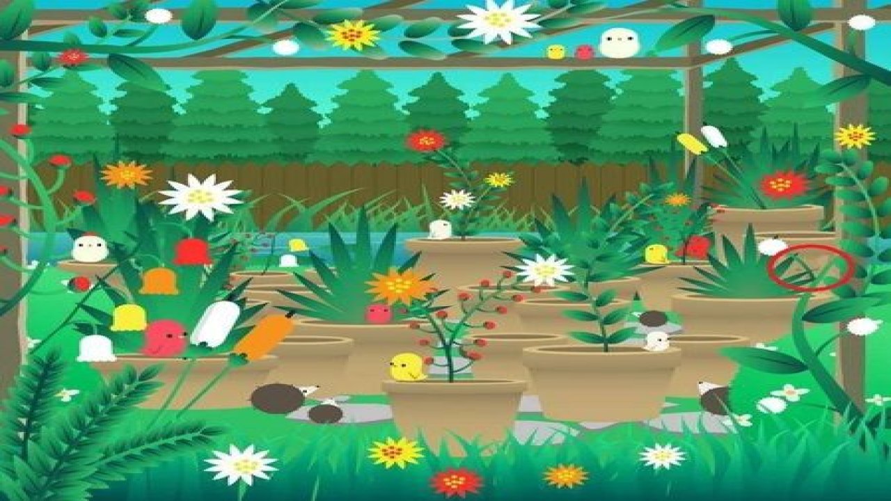 Sadece 15 saniye içinde yavru köpeği bulan dahidir! Zekanızı test edin...