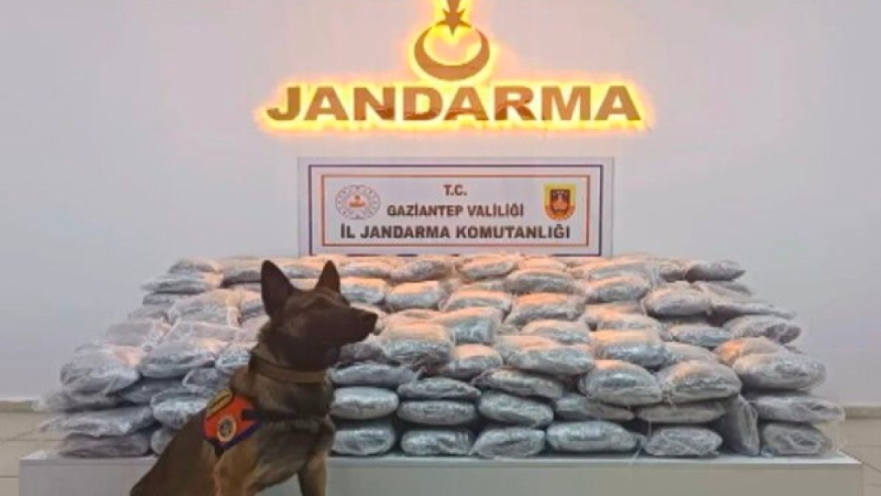 Gaziantep’te 121 kilo skunk ele geçirildi: 1 şahıs tutuklandı