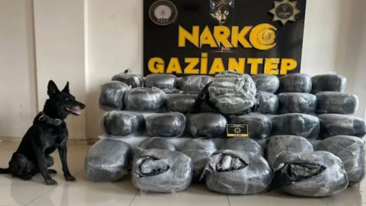Gaziantep’te zehir tacirlerine büyük darbe... Arı Kovanına Gizlemişler