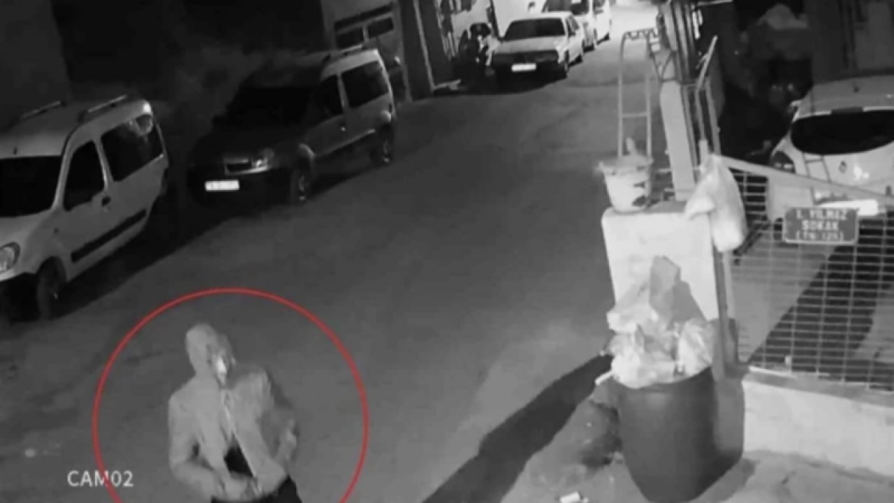 Oto faresini burnu yakalattı