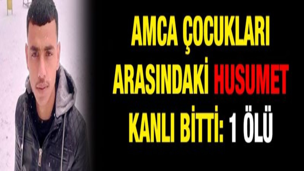 Amca çocukları arasındaki husumet kanlı bitti: 1 ölü