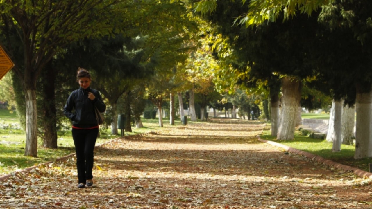 Gaziantep'te Gazel Depeleme Zamanı...  Gaziantep'e Has Gazel Depeleme Geleneği Nedir?