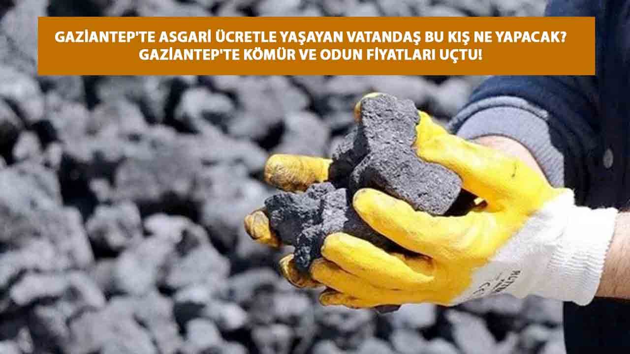 Gaziantep'te Asgari Ücretle yaşayan Vatandaş Bu Kış Ne Yapacak? Gaziantep'te Kömür Ve Odun Fiyatları Uçtu!