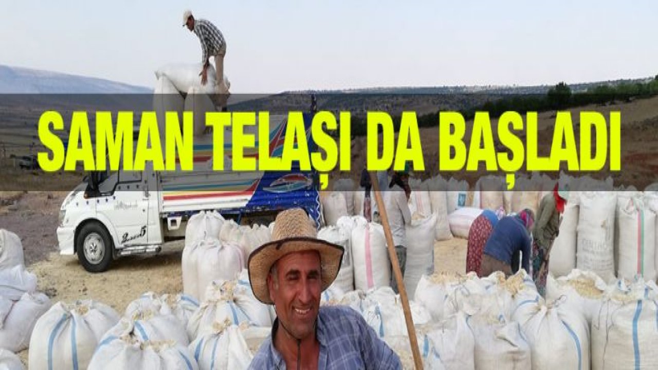 Tahılda hasattan sonra saman telaşı