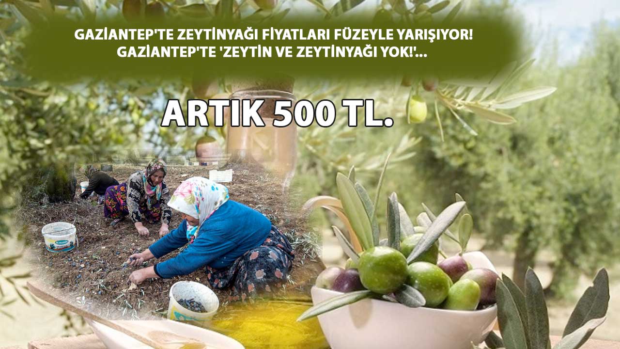 Gaziantep'te ZEYTİNYAĞI FİYATLARI FÜZEYLE YARIŞIYOR! GAZİANTEP'TE 'ZEYTİN VE ZEYTİNYAĞI YOK!'...  ARTIK 500 TL