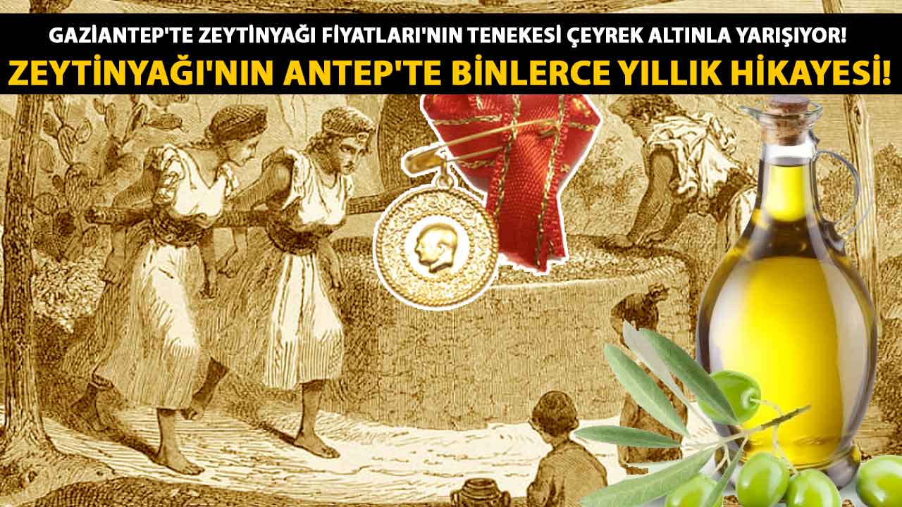 Gaziantep'te Zeytinyağı Fiyatları'nın TENEKESİ ÇEYREK ALTINLA YARIŞIYOR! ZEYTİNYAĞI'NIN ANTEP'TE BİNLERCE YILLIK HİKAYESİ!