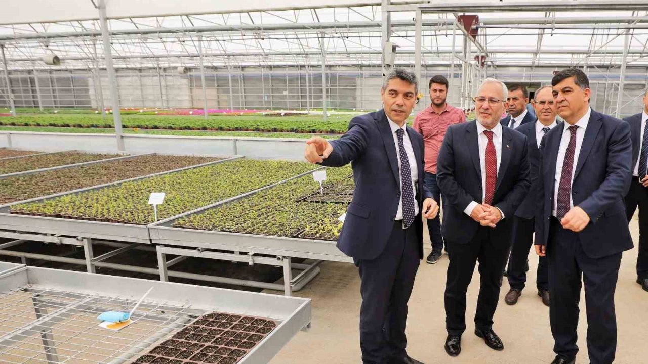 Şehitkamil’de bir günde 200 bin tohum toprakla buluşturuluyor