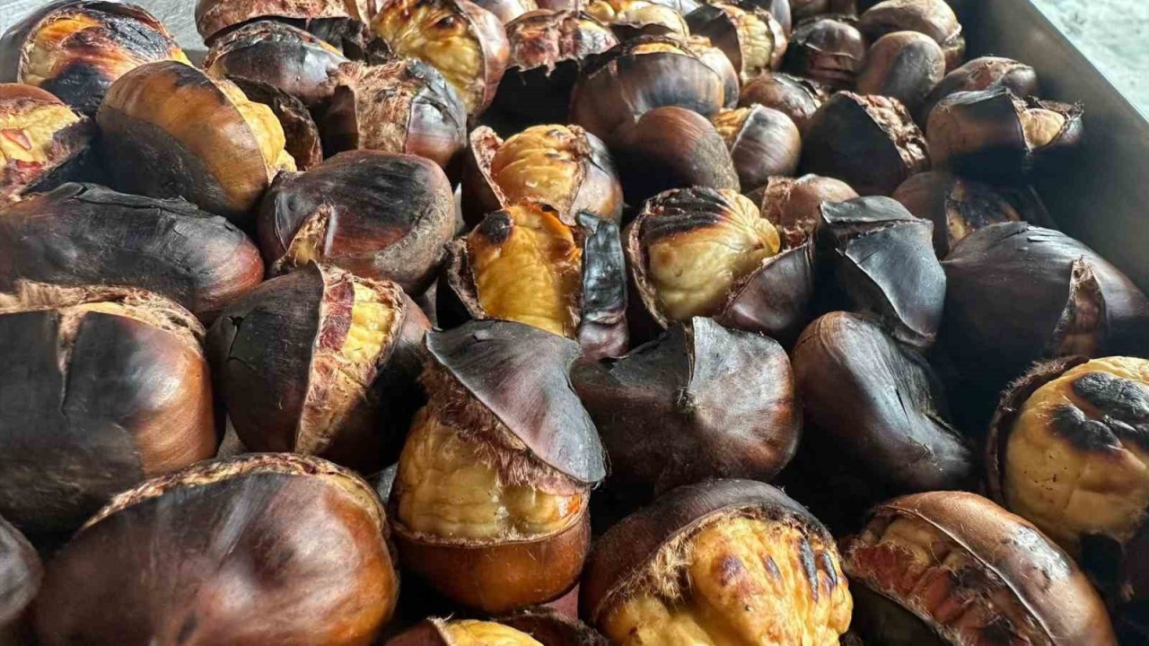 Gaziantep’te kestane sezonu başladı! Kilosu 250 TL ile 300 TL arasında değişiyor