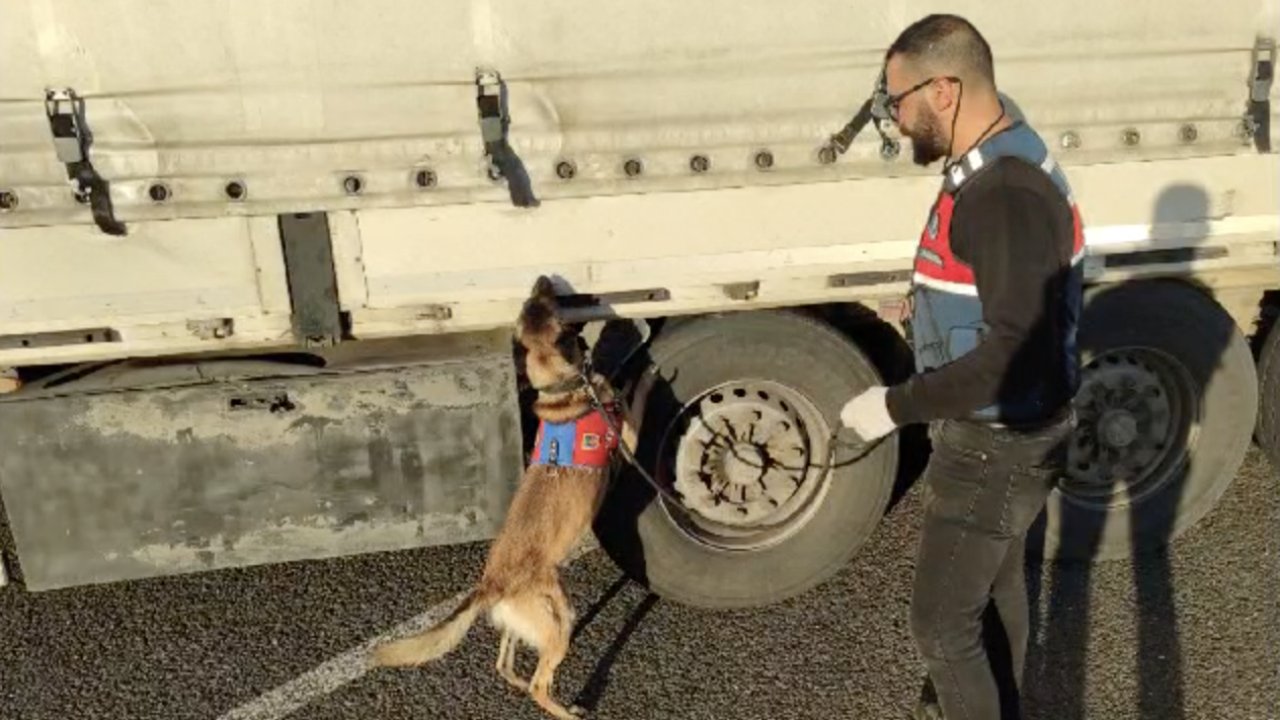 Gaziantep’te Jandarmadan Huzurlu Sokaklar ve Narkotik Suçları Uygulaması