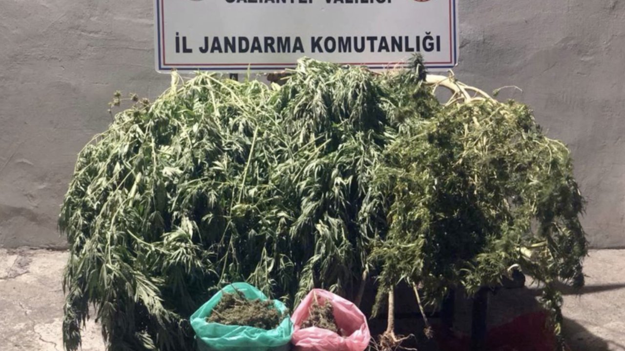 Gaziantep’te jandarmadan kaçakçılık ve uyuşturucu operasyonu