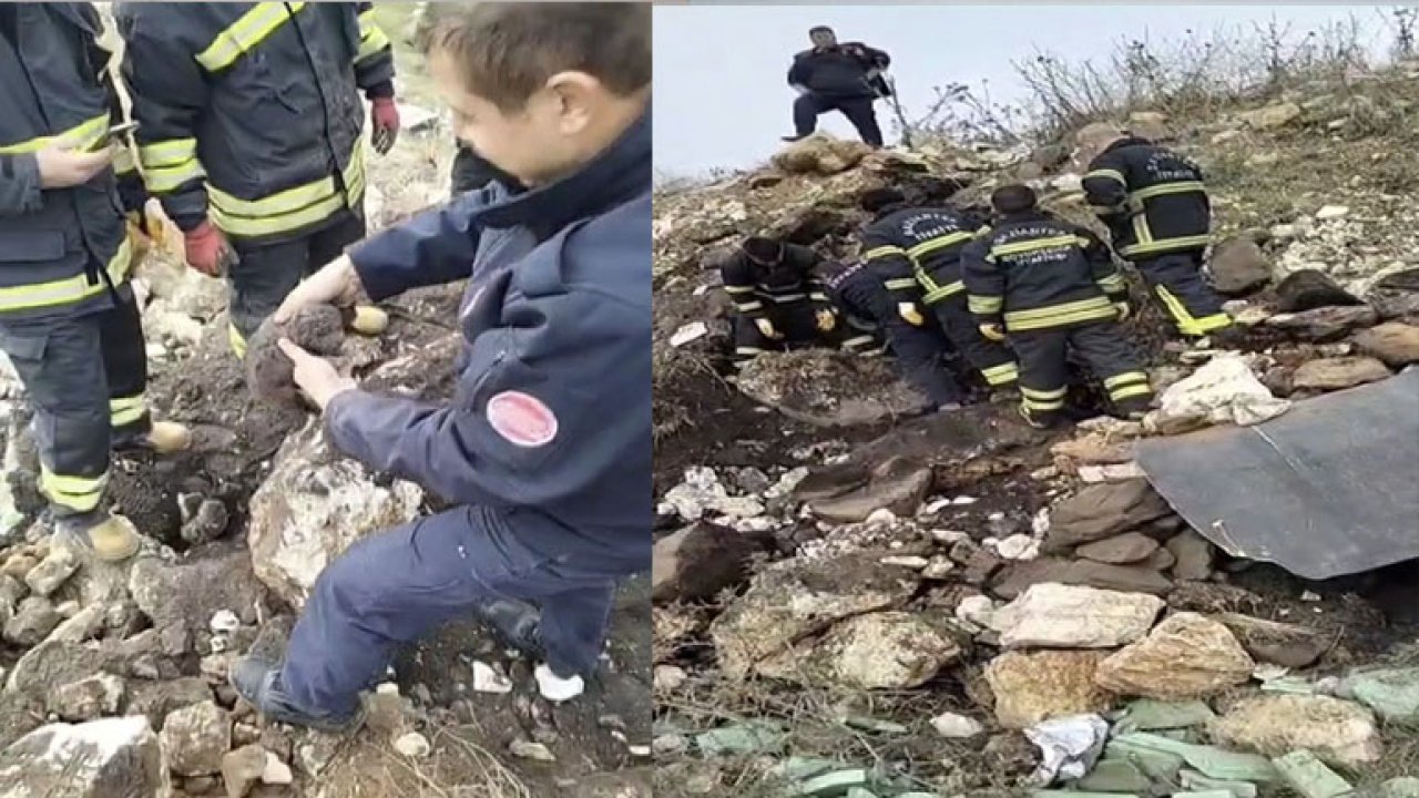 Gaziantep'te molozların altında sıkışan yavru köpekleri itfaiye ekipleri kurtarıldı