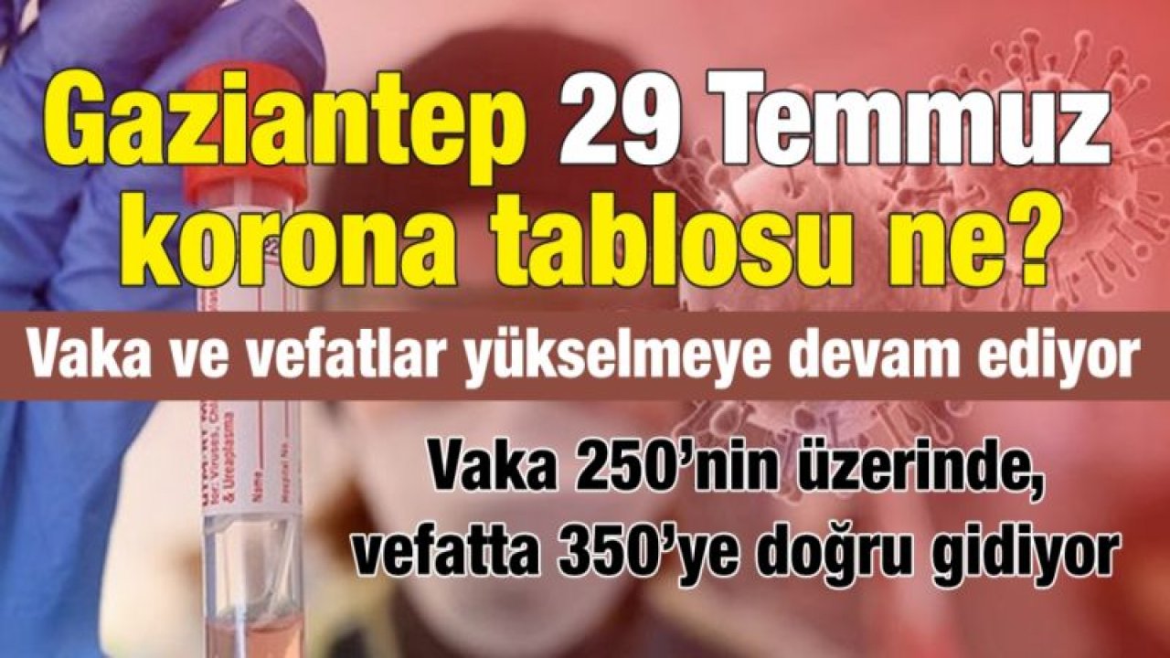 Gaziantep 29 Temmuz korona tablosu ne?...  Vaka ve vefatlar yükselmeye devam ediyor...  Vaka 250’nin üzerinde, vefatta 350’ye doğru gidiyor