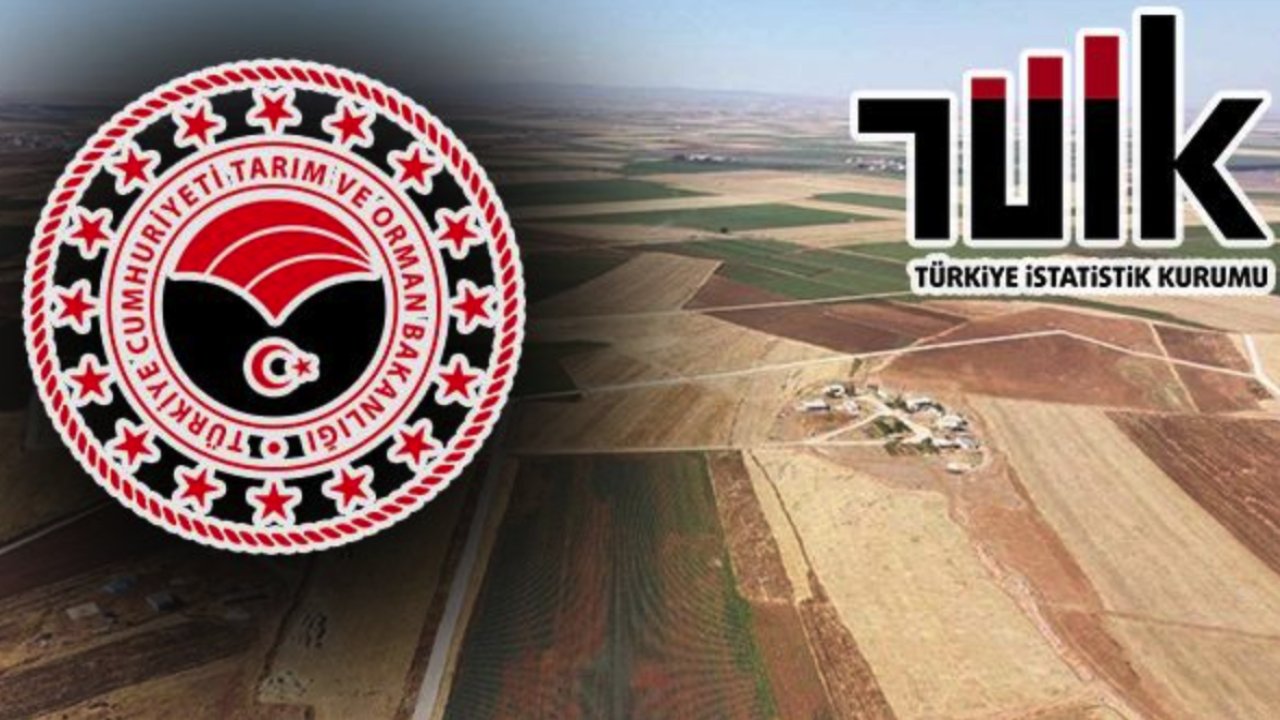 Gaziantep dahil 81 ildeki tarım arazileri için yeni karar!