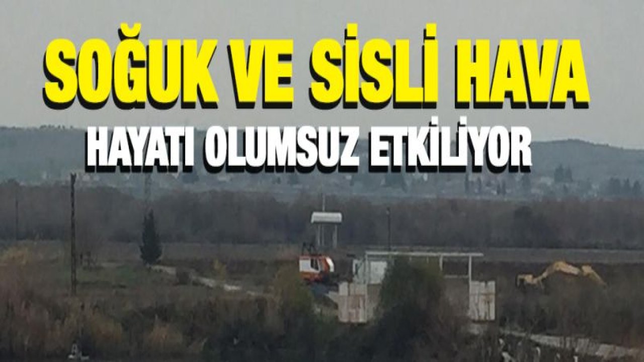 Gaziantep'te soğuk ve sisli hava hayatı olumsuz etkiliyor