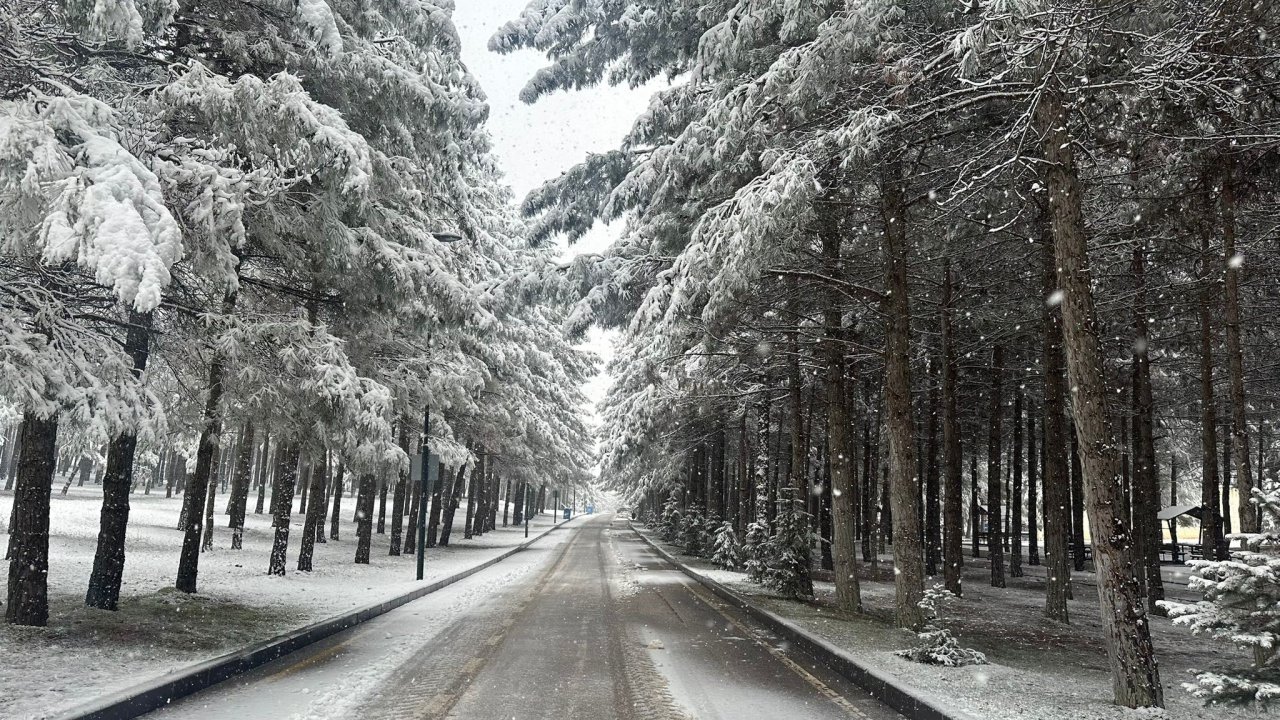 Yılın ilk karı Gaziantep'te kartpostallık görüntüler ortaya çıkardı