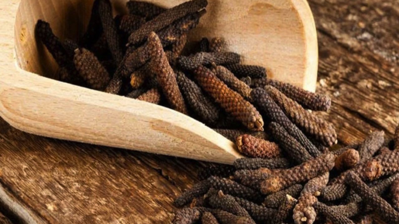 Osmanlı Saray Mutfağının Gizli Gücü: Cinsel Performansı Arttıran Mucize Baharat Açığa Çıktı