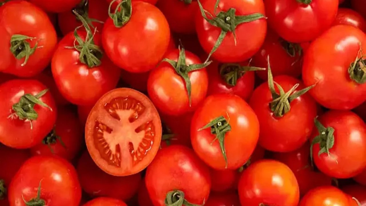 Domates Bu Kişilerde Bazen Zehir Etkisi Yaratıyor! YERSE ZEHİR