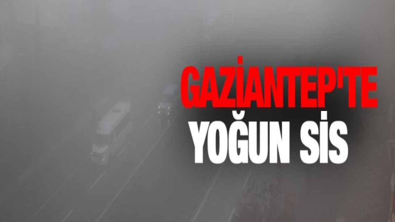 Gaziantep'te yoğun sis