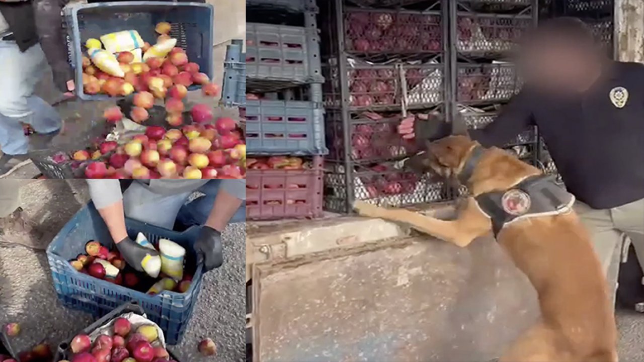 Gaziantep karayolunda elma kasalarına gizlenmiş 41 kilo uyuşturucu ele geçirildi