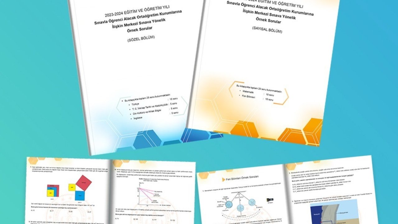LGS’ye ilişkin örnek sorular yayımlandı