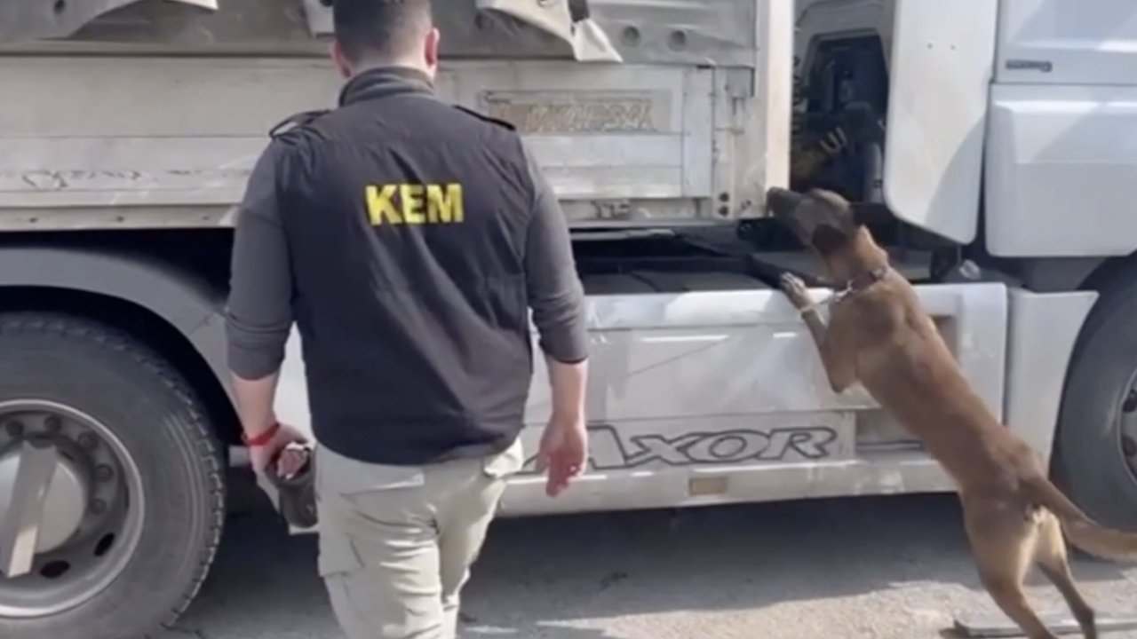 Gaziantep otoyolunda ahşap yüklü tırda 100 kilo 700 gram esrar ele geçirildi