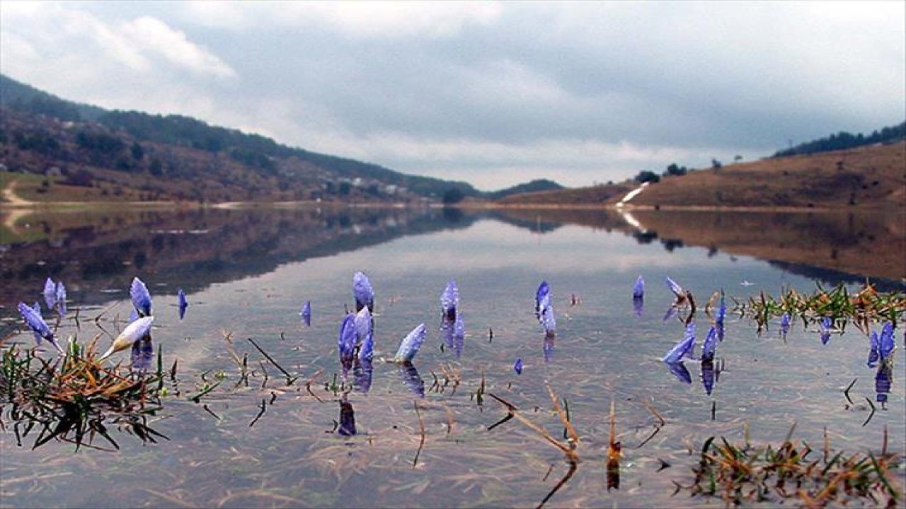 Baharın müjdecisi olarak bilinen cemrenin ikincisi suya düştü