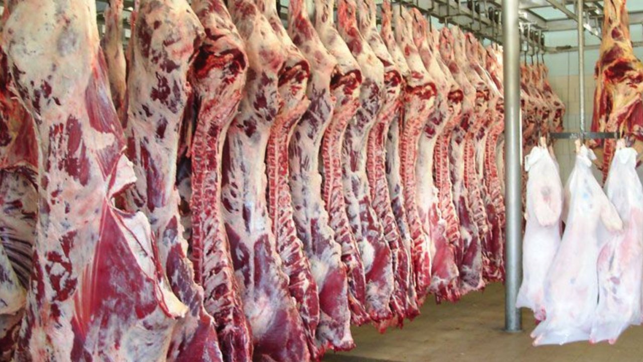 Dana ve kuzu kesim fiyatları arttı mı? Gaziantep ve Güneydoğu Bölgesi'nde güncel kesim fiyatları yayınlandı!