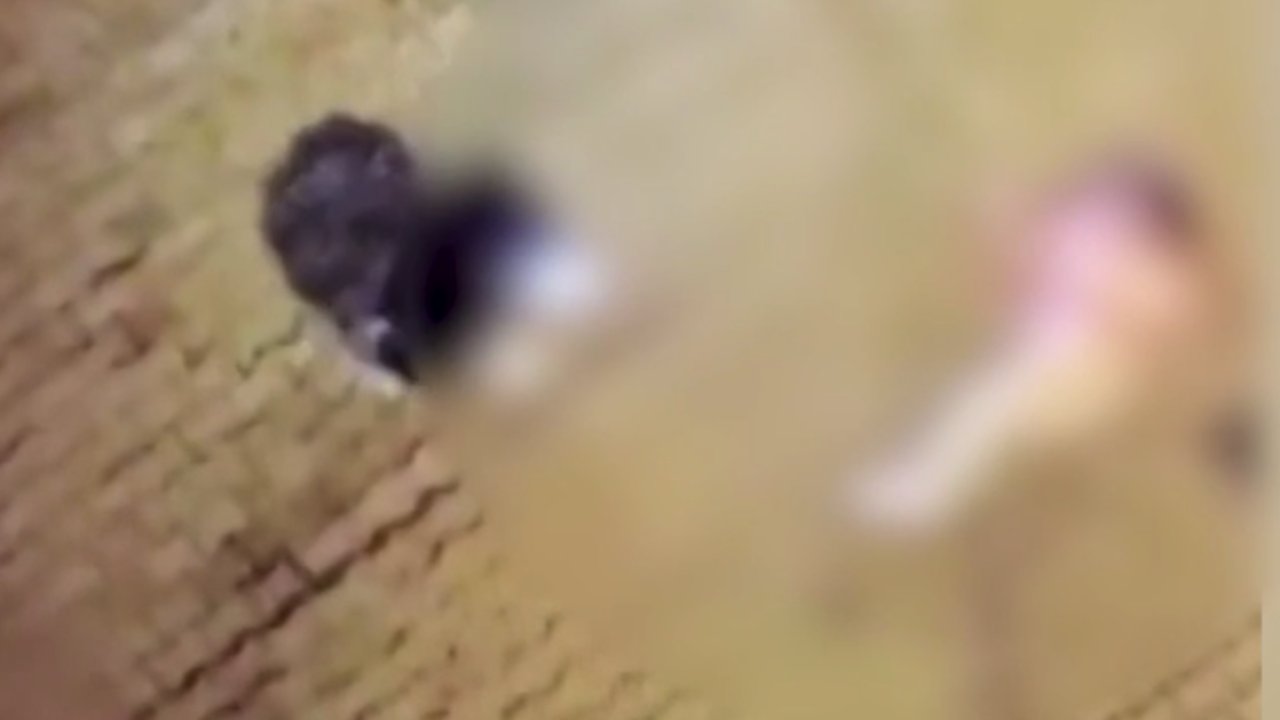 Kadın Cinayeti! Tam 11 El Ateş Etti  Durmadı! Polise Engel Oldu...