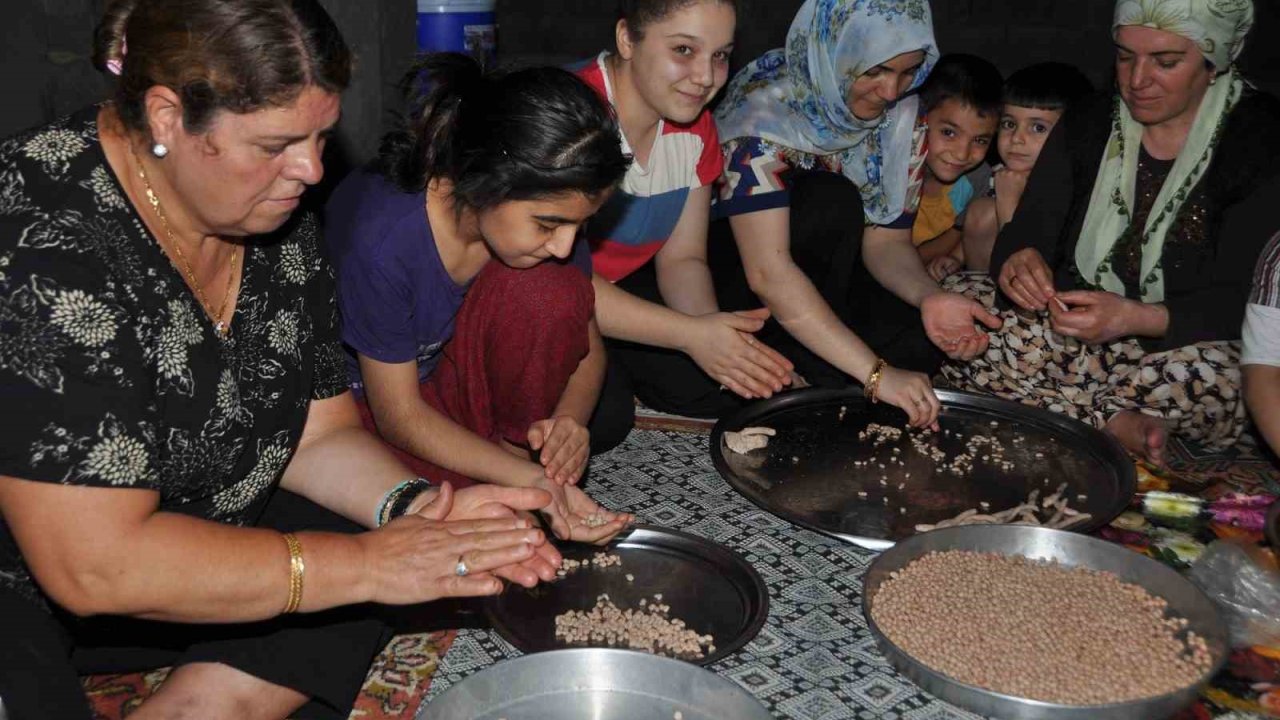 Gaziantep’te yuvalama zamanı