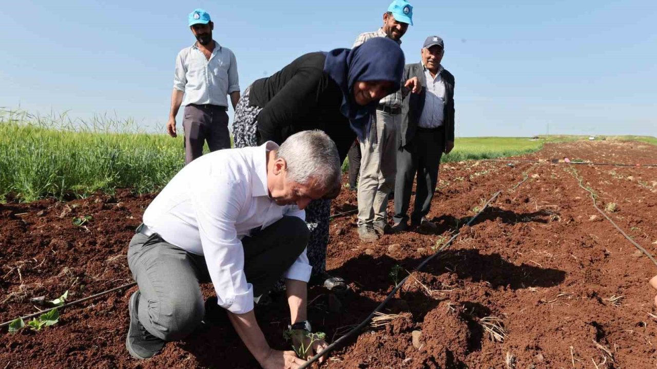 ÇİFTÇİLERİ AYAKTA TUTAN ADAM TAHMAZOĞLU! Tahmazoğlu ve GAZİANTEP ŞAHİNBEY BELEDİYESİ!