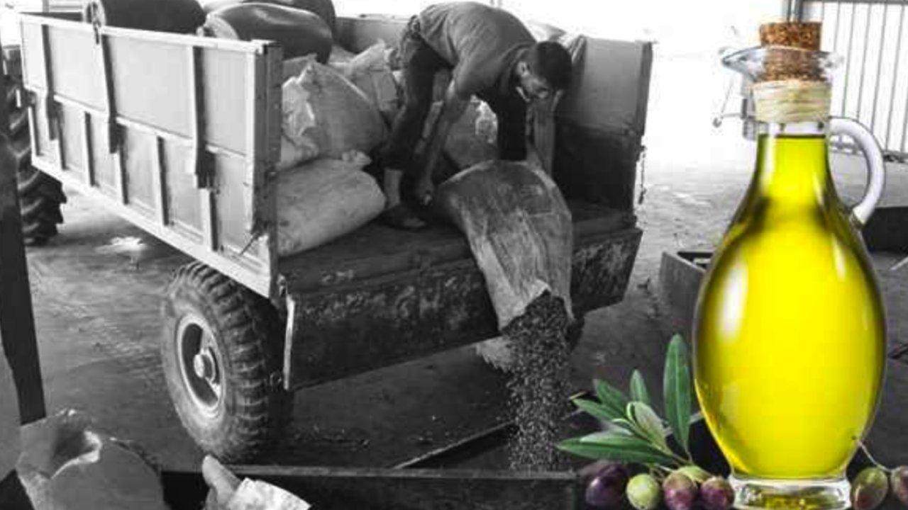 Gaziantep'te Zeytinyağı fiyatının göreceği rakam açıklandı. Zeytinyağı'nın Tenekesi Gaziantep'te En Az 6 Bin Lira Olacak!