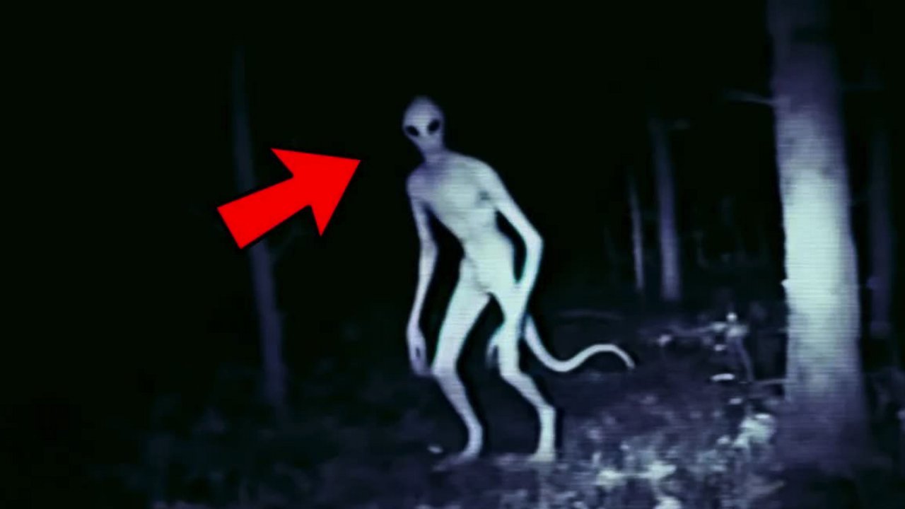 Uykularınızı Kaçıracak 9 Ürkütücü Video!