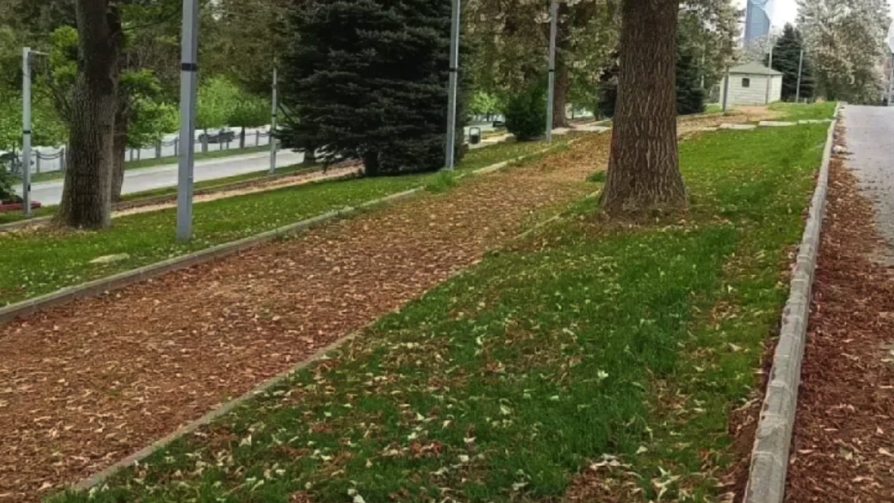 Gaziantep'te Fıstık Ağaçları, Badem Ağaçları Tarumar Oldu!